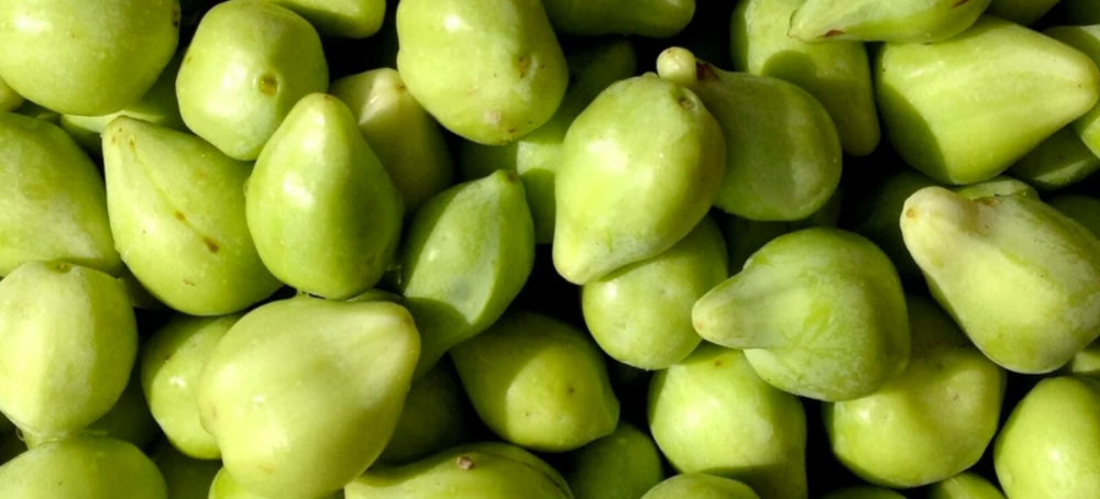 kakadu plum skincare ingredient in blog on treasure9 website